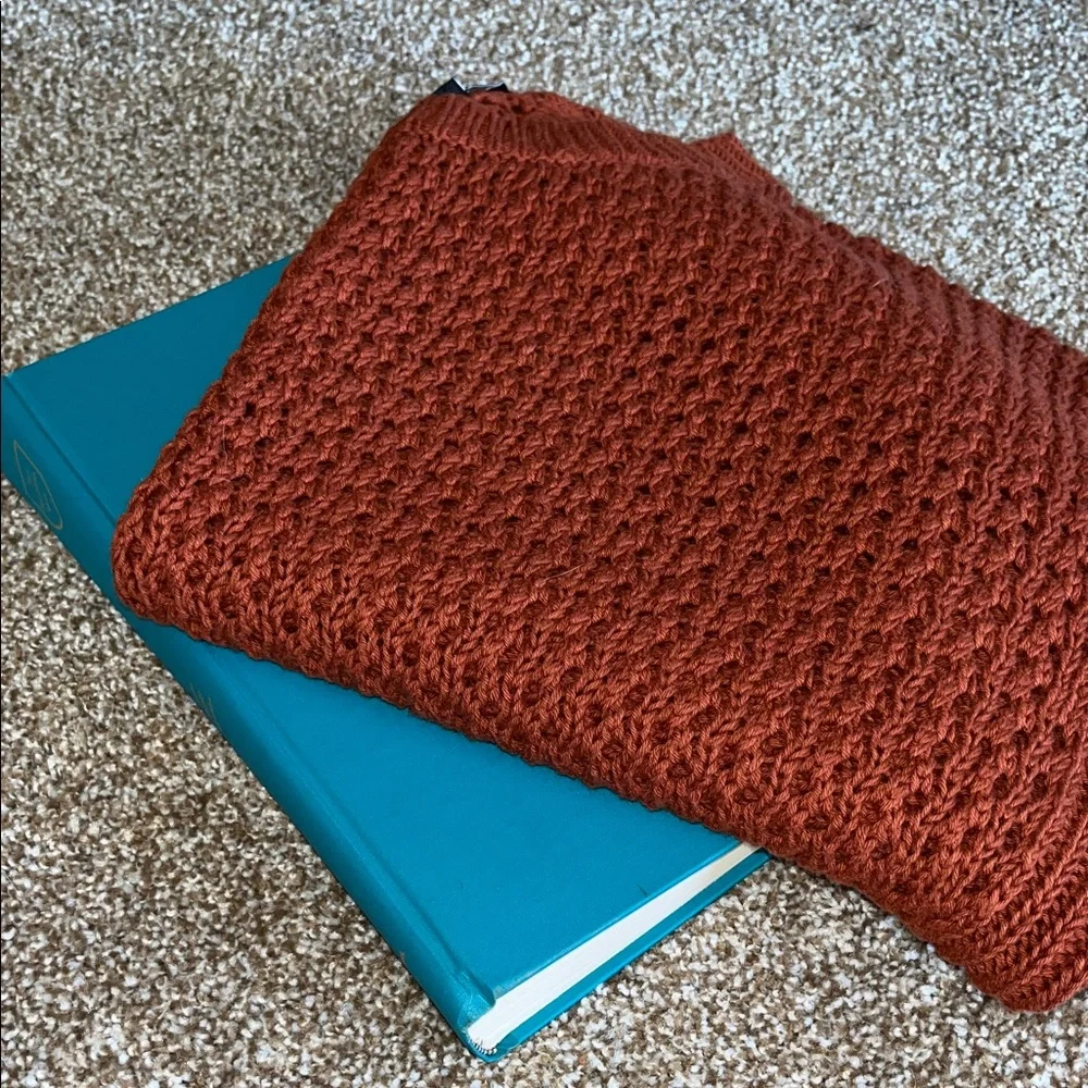 Express Rust Knit Sweater - Picture 6 of 6